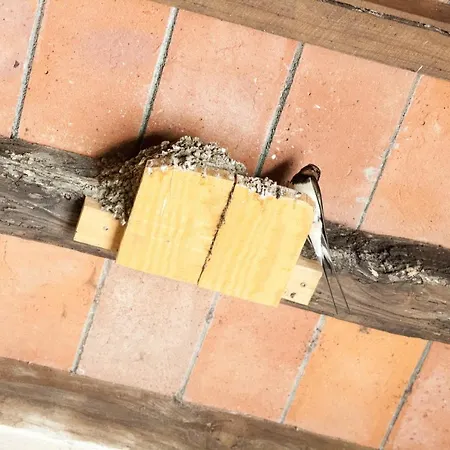 Casa Velia * Uzzano
